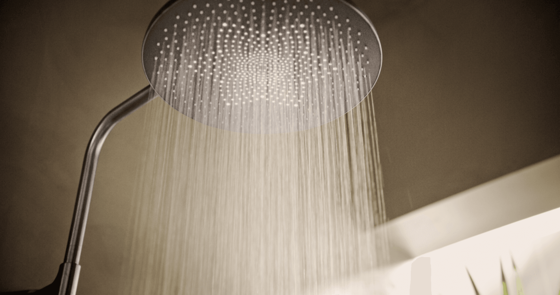 Dusjkran med rain shower | 4793-80 | Børstet stål
